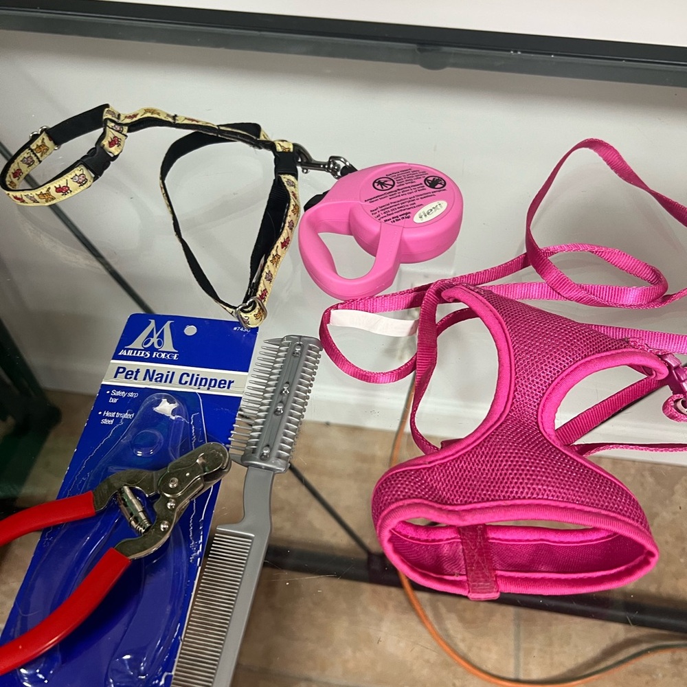 Pink Kids Harness and Leash Set